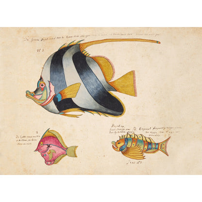 Three Fish print