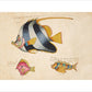 Three Fish print