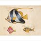 Three Fish print