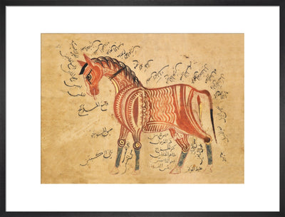 Horse print