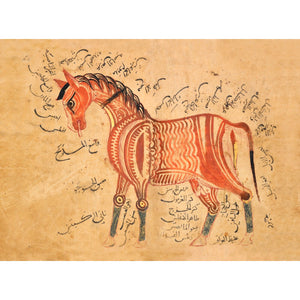 Horse print