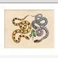 Two Snakes print
