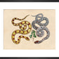 Two Snakes print