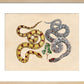 Two Snakes print