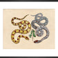 Two Snakes print