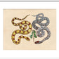 Two Snakes print