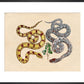 Two Snakes print