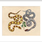 Two Snakes print