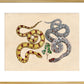 Two Snakes print