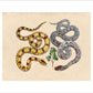 Two Snakes print
