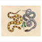 Two Snakes print