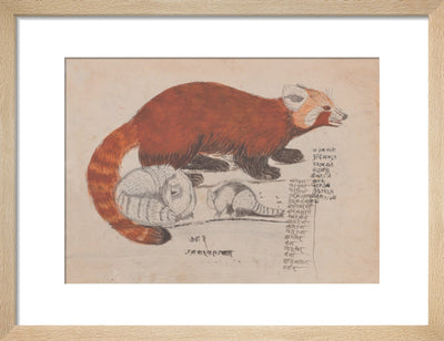 Red Panda print