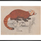 Red Panda print