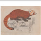 Red Panda print