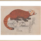 Red Panda print