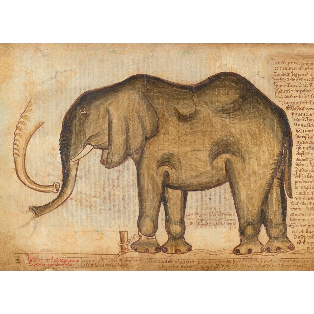 Elephant print - British Library Online Shop