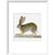 Hare print in white frame