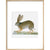 Hare print in natural frame