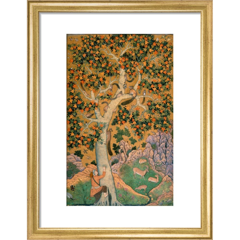 Squirrels in a plane tree print in gold frame