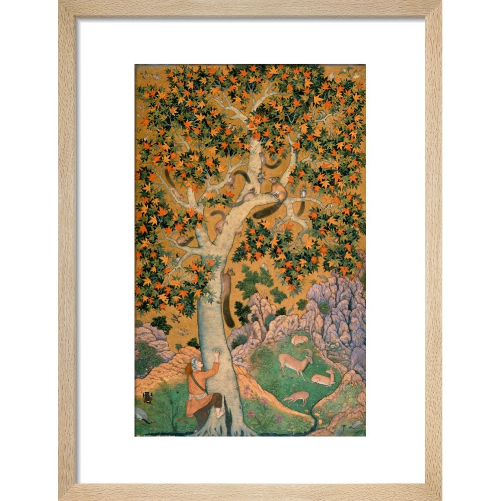Squirrels in a plane tree print natural frame
