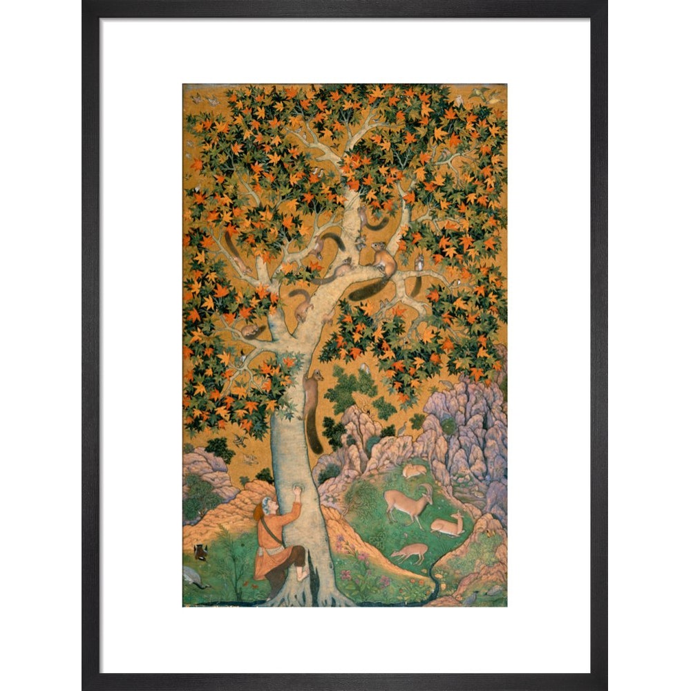 Squirrels in a plane tree print in black frame