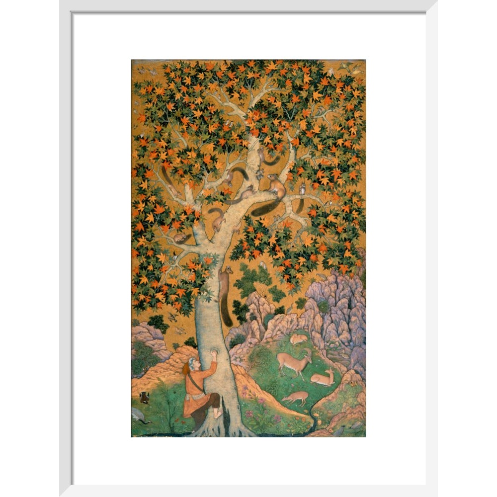 Squirrels in a plane tree print in white frame