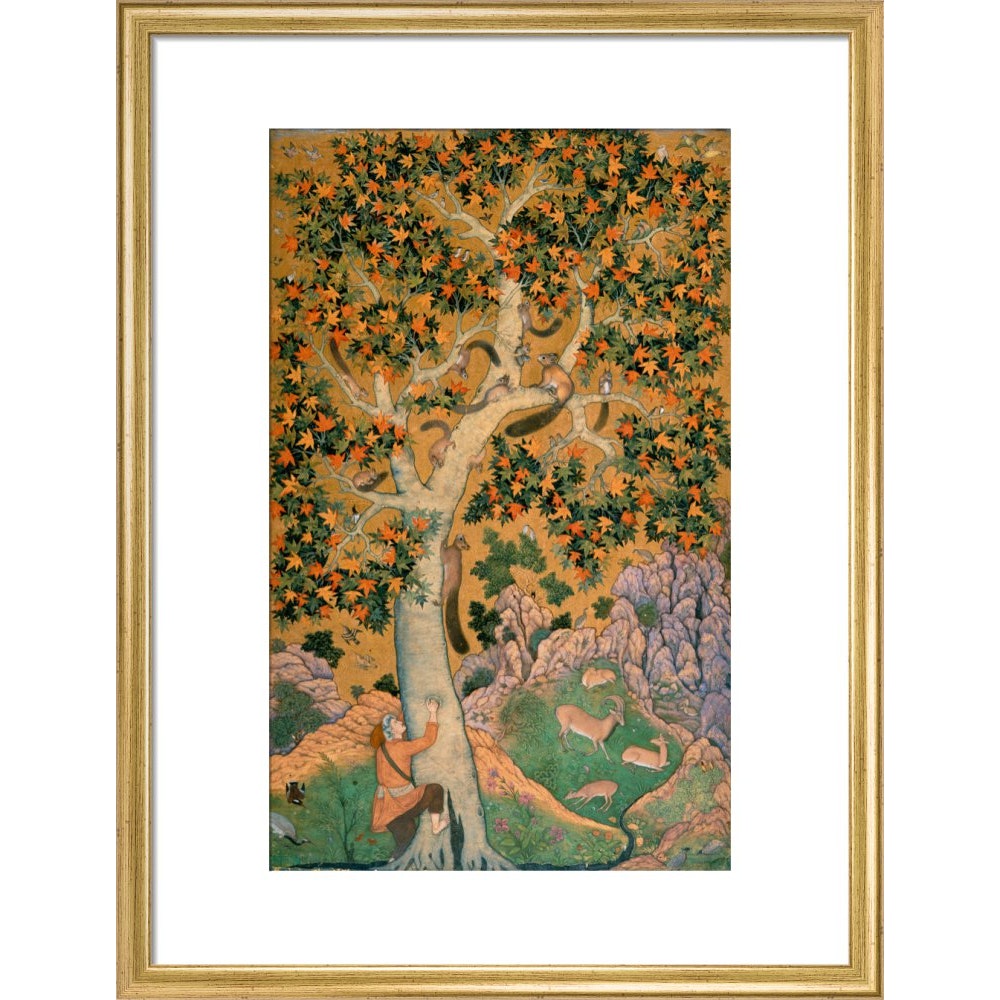 Squirrels in a plane tree print in gold frame