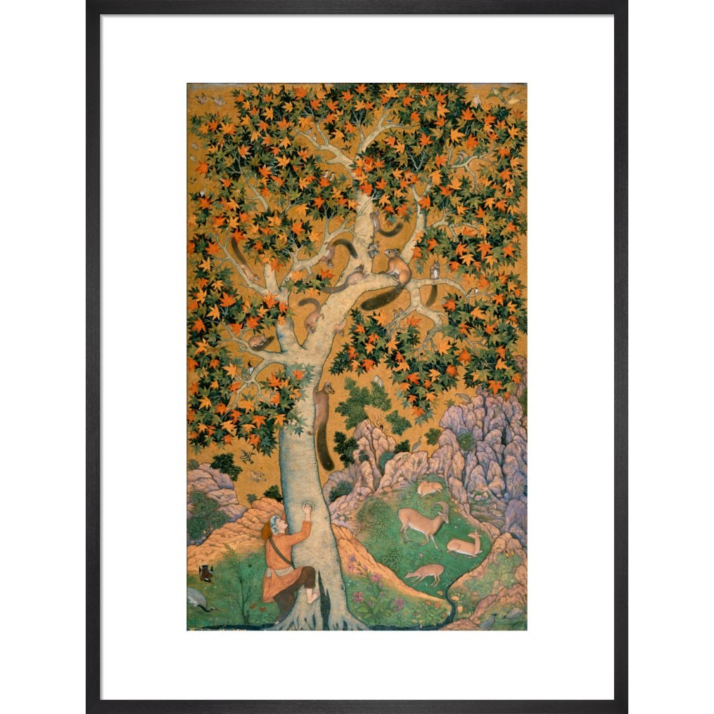 Squirrels in a plane tree print in black frame