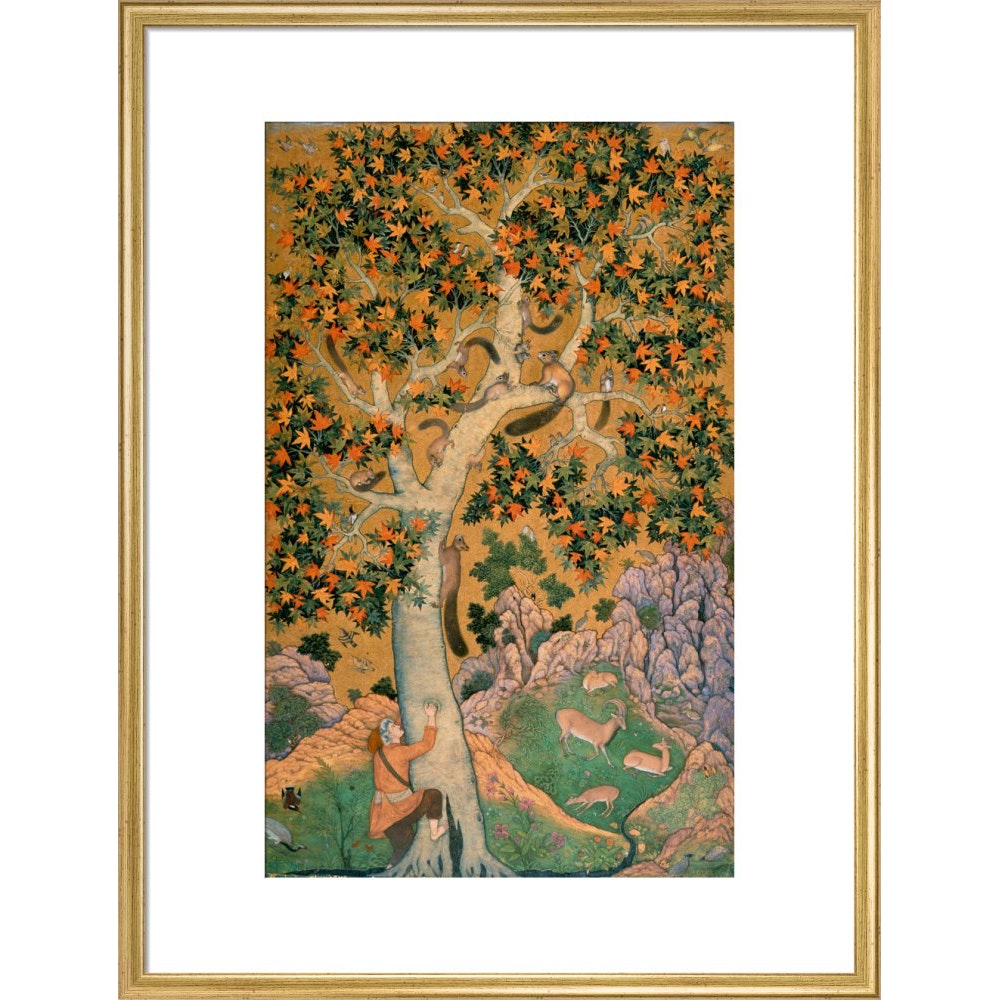 Squirrels in a plane tree print in gold frame