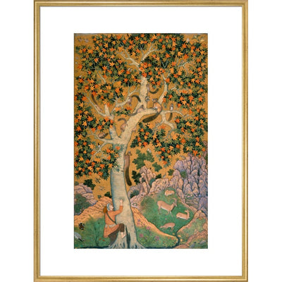Squirrels in a plane tree print in gold frame