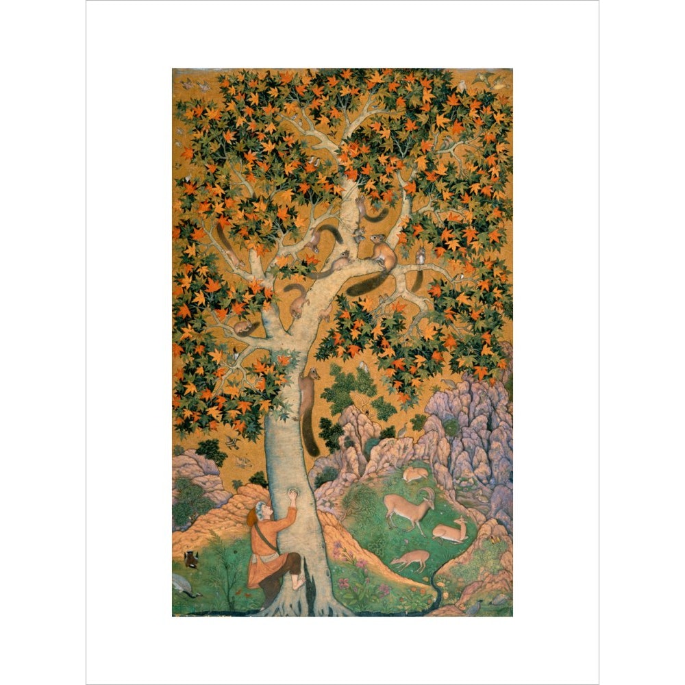 Squirrels in a plane tree print unframed