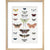 Butterflies print in natural frame