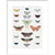 Butterflies print in white frame