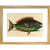A parrot fish print in gold frame