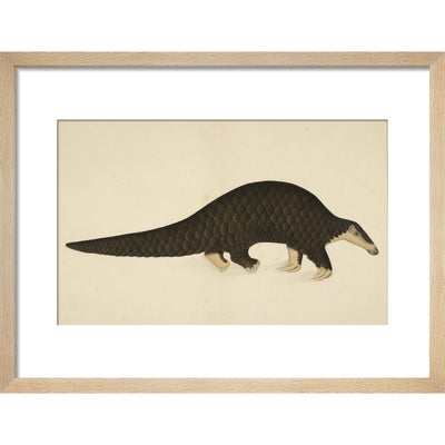 A scaly anteater print natural frame