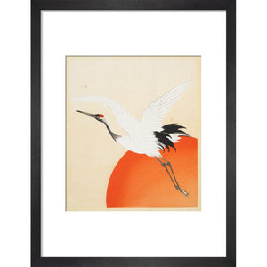 Flying Crane print in black frame