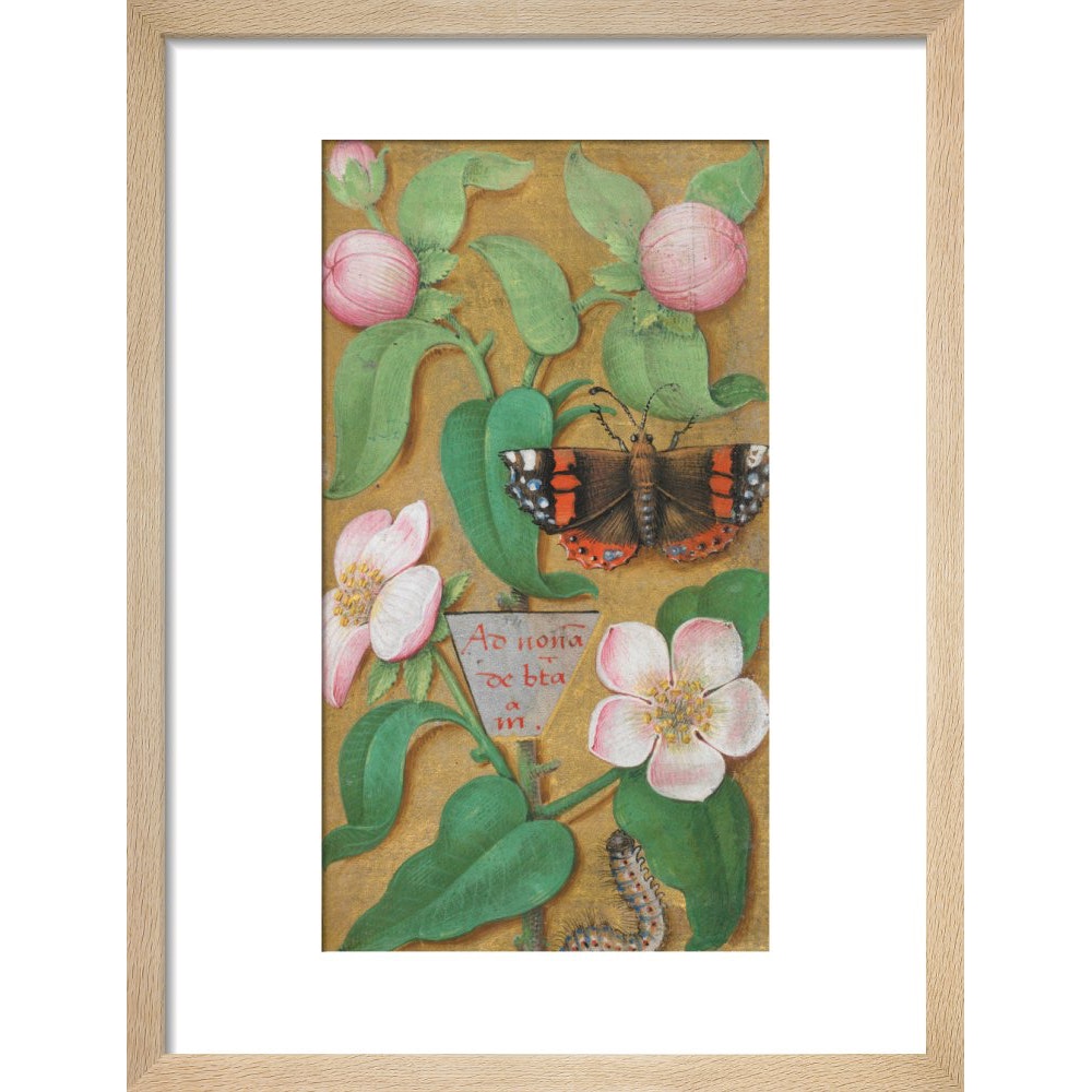 Flowers, caterpillar and butterfly print in natural frame