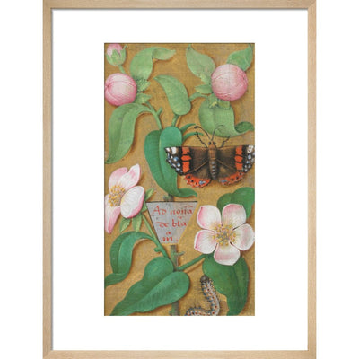 Flowers, caterpillar and butterfly print in natural frame