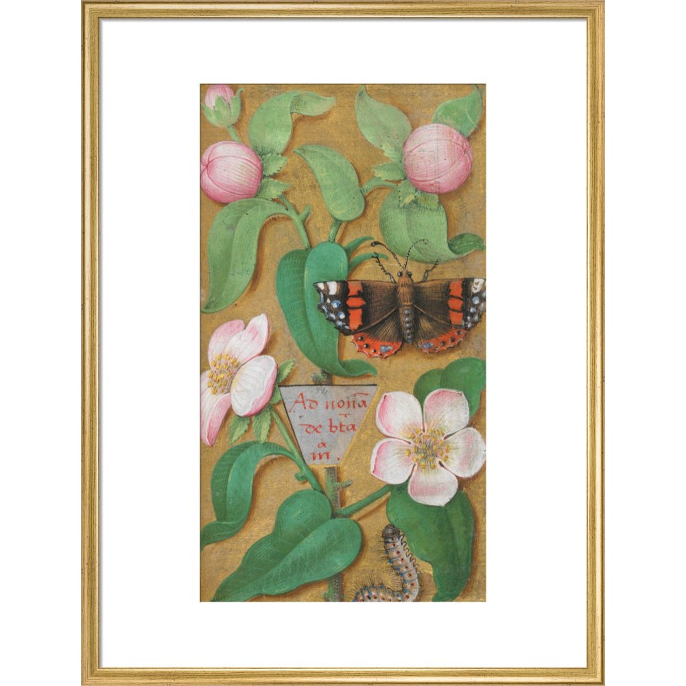 Flowers, caterpillar and butterfly print in gold frame