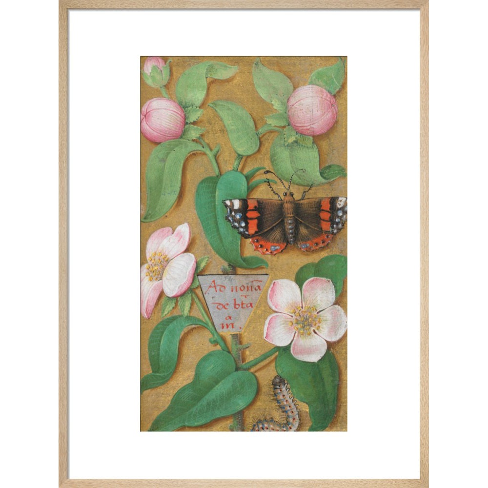 Flowers, caterpillar and butterfly print in natural frame
