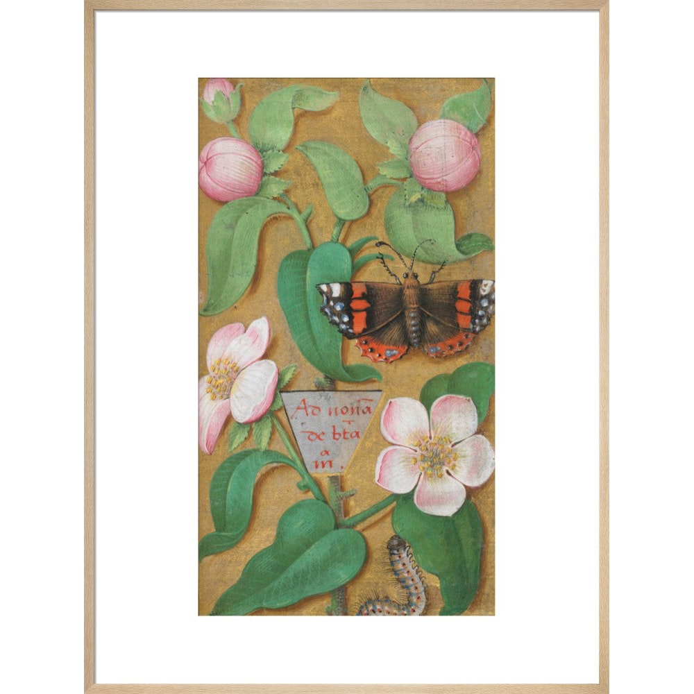 Flowers, caterpillar and butterfly print in natural frame