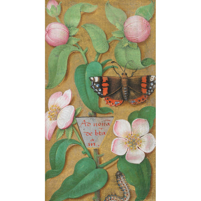 Flowers, caterpillar and butterfly print