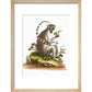 A macaque print in natural frame
