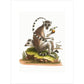 A macaque print unframed