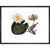 Nymphaea lotus print in black frame