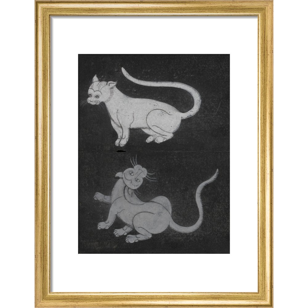 Thai cats print in gold frame