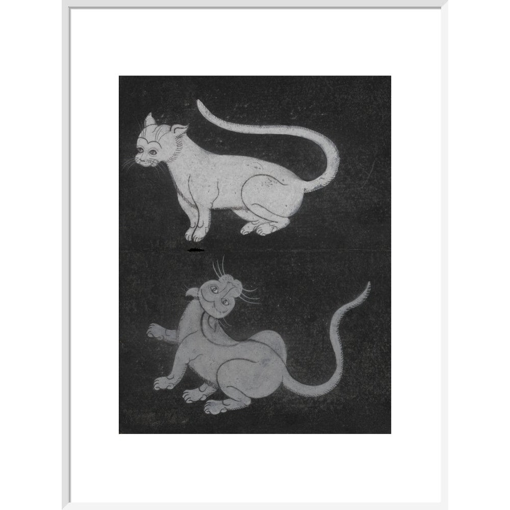 Thai cats print in white frame