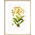 Orchid print in natural frame