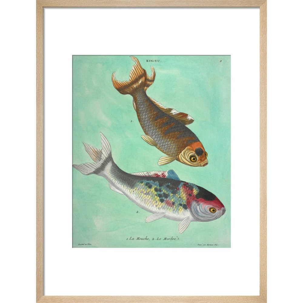 Kin-Yu: a pair of fish print in natural frame