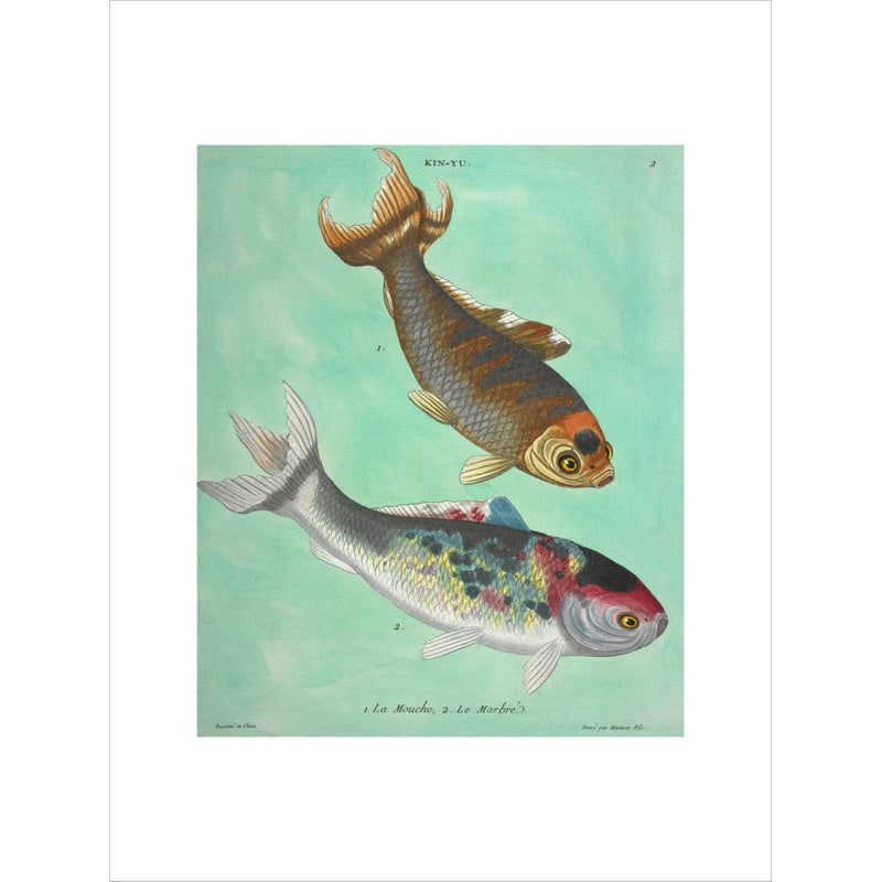 Kin-Yu: a pair of fish print